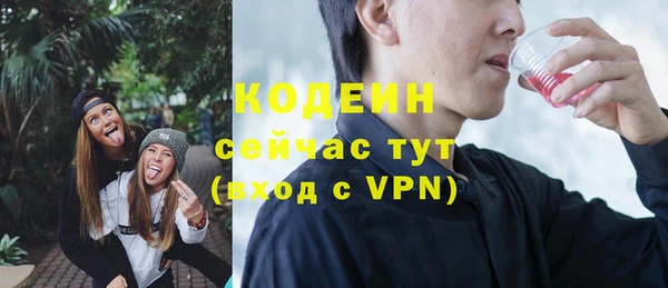 спиды Лагань
