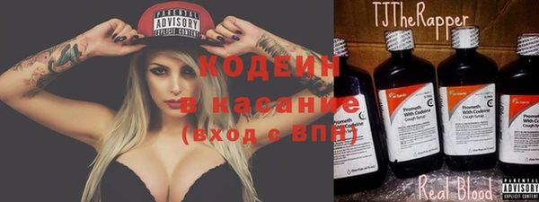 спиды Лагань
