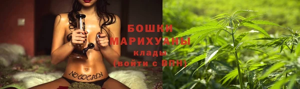 спиды Лагань