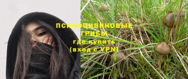 молекула духа Лабытнанги