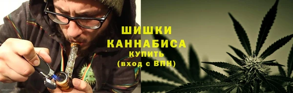 гидропоника Ладушкин