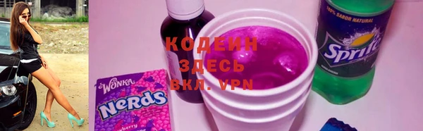 молекула духа Лабытнанги