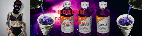 молекула духа Лабытнанги