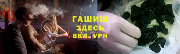 молекула духа Лабытнанги
