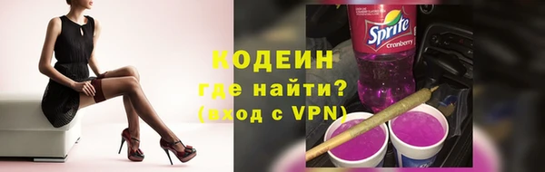 молекула духа Лабытнанги
