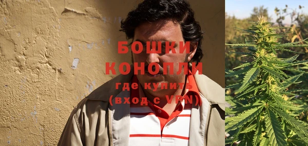 молекула духа Лабытнанги