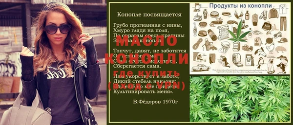 молекула духа Лабытнанги