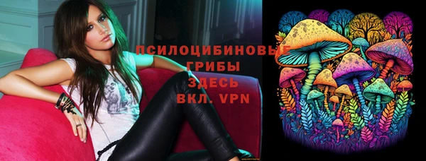 гидропоника Ладушкин