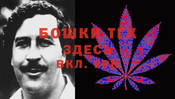 гидропоника Ладушкин