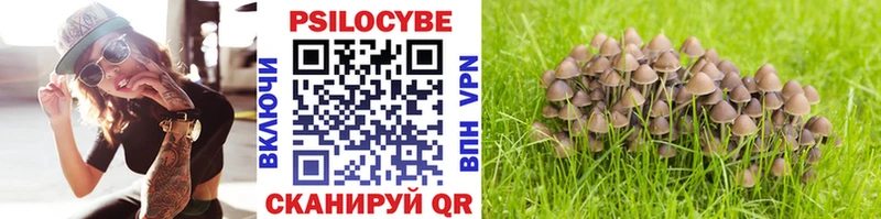 Галлюциногенные грибы Magic Shrooms  Купить закладки  Златоуст 